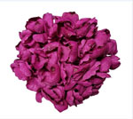 Hydrangeas Londres. Flamenco Flowers for Hair. Bougainvillea 36. 20cm. 9.300€ #504190087BGNVLL36